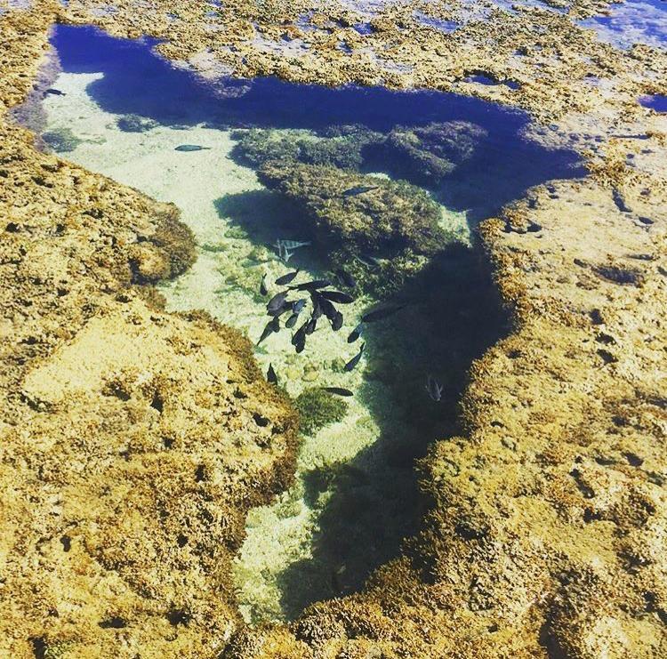 Pousada Maracabana Spa Порту-ді-Галіняс Екстер'єр фото